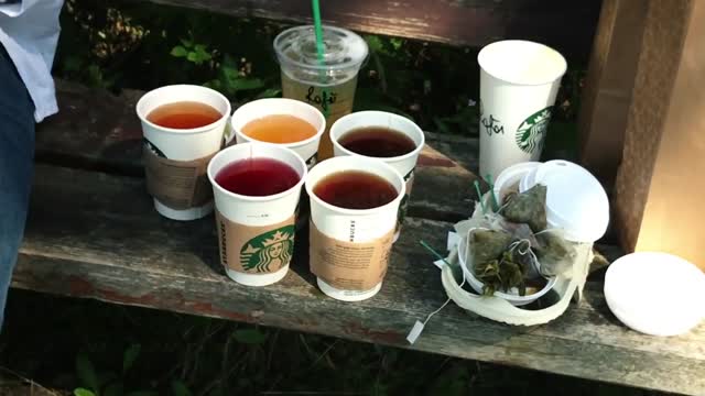 Test herbat z kawiarni Starbucks