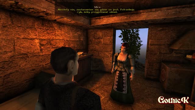 Gothic 2 mod ERJLAN