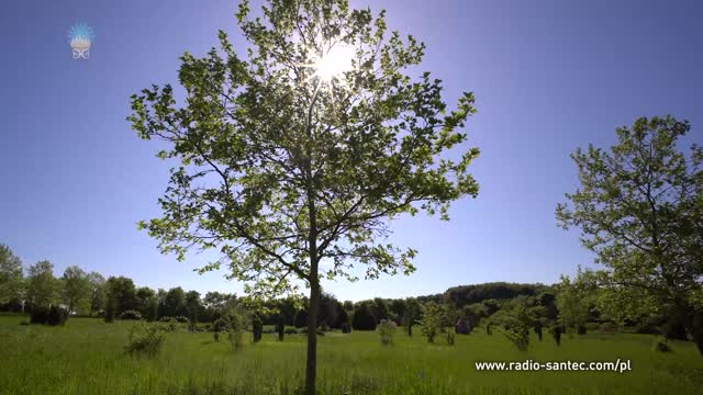 Chrystus pragnie zmartwychwstać w każdym z nas