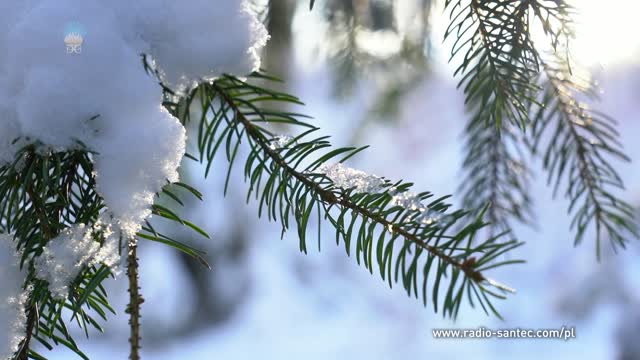 Uwewnętrznienie. Narodziny w miłość Bożą