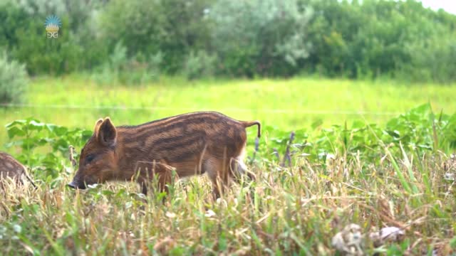 Żyj ze mną. Część 12